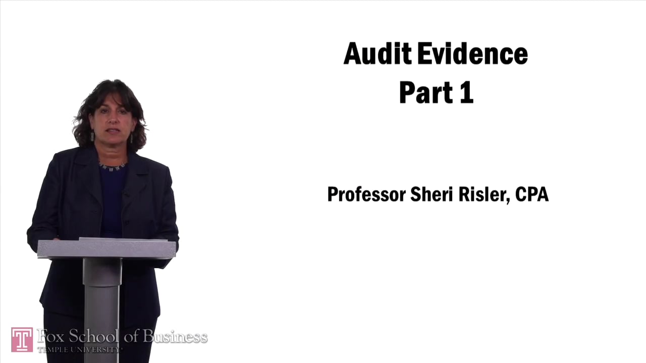 Audit Evidence Part 1