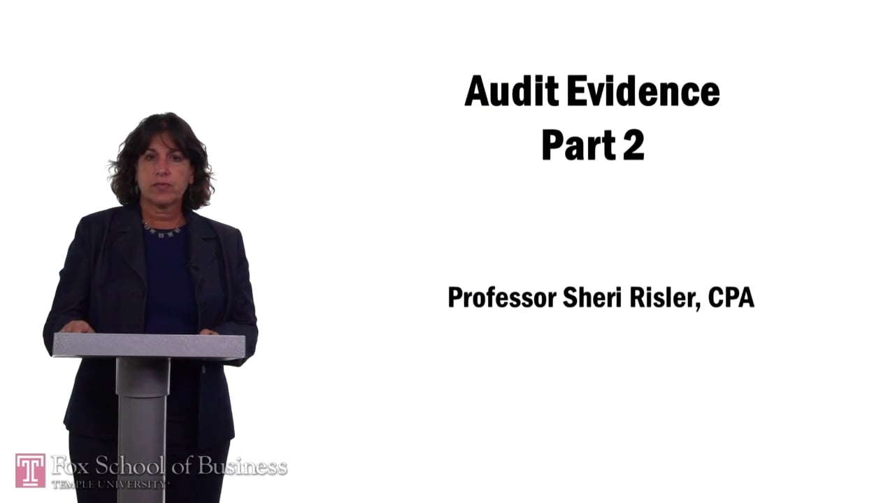 Audit Evidence Part 2