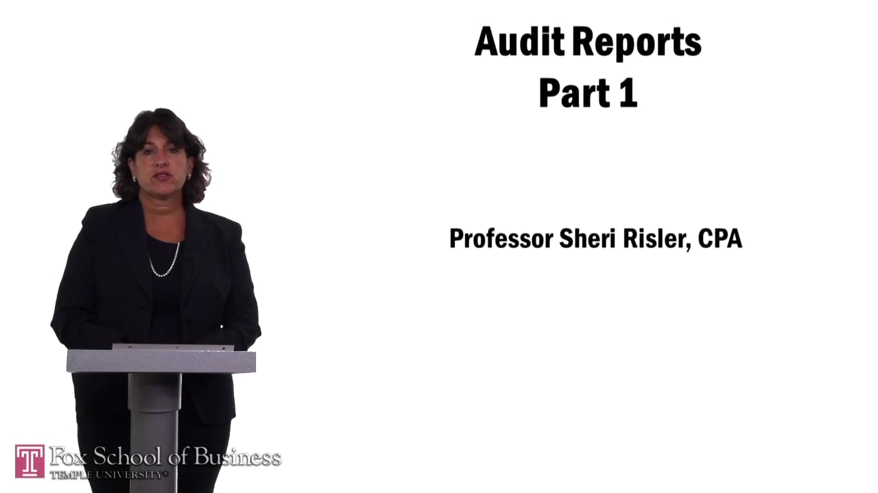 Audit Reports Part 1