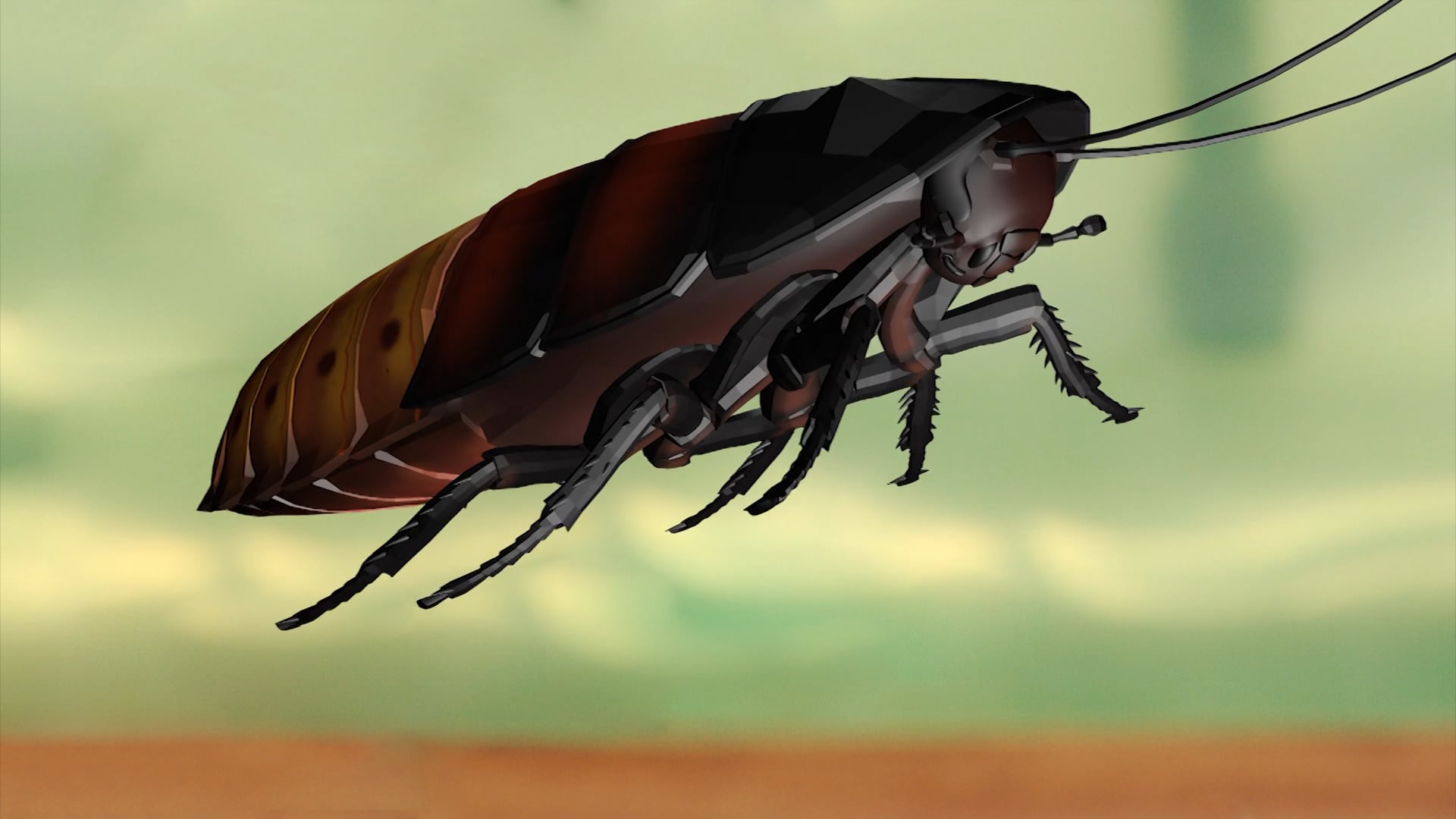 Science Minutes 201 Madagascar Hissing Cockroach-Insect Anatomy On Vimeo