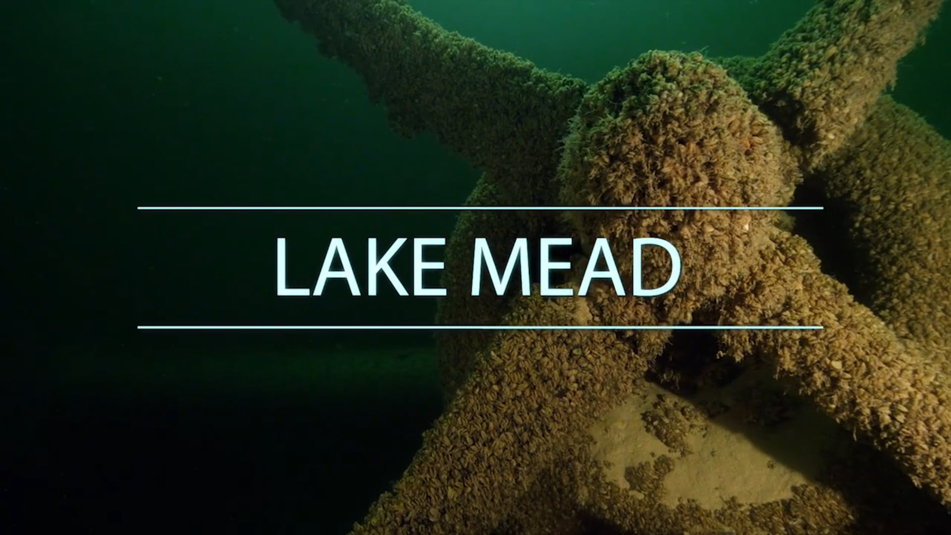 Underwater Wonders of the National Park Service - Lake Mead National Recreation Area