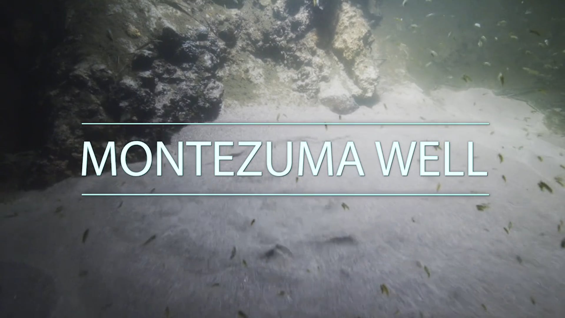 Underwater Wonders of the National Park Service - Montezuma Well