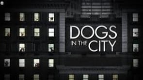 "Dogs in the City" (CBS)