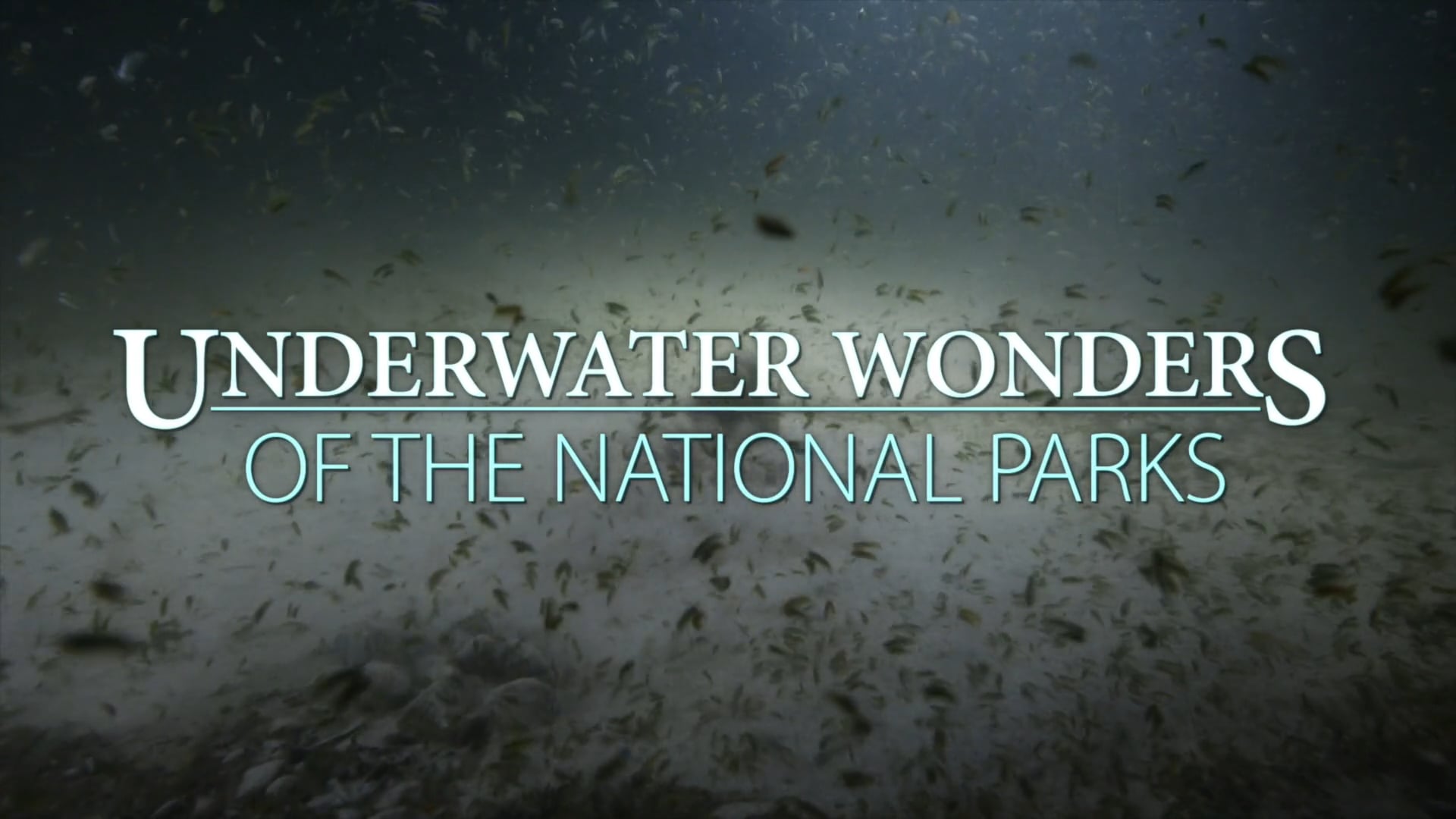 Underwater Wonders of the National Park Service Trailer