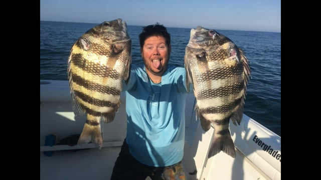 Spearfishing Sheepshead and Blackfish in Ocean City, MD