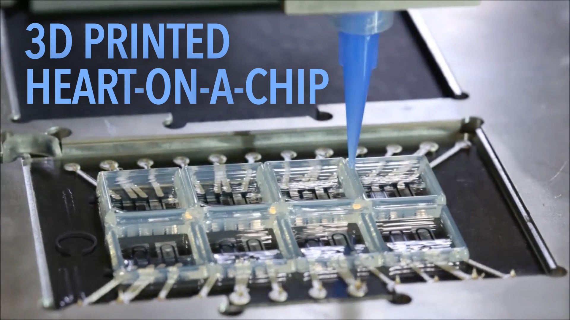 3D Printed Heart-on-a-Chip