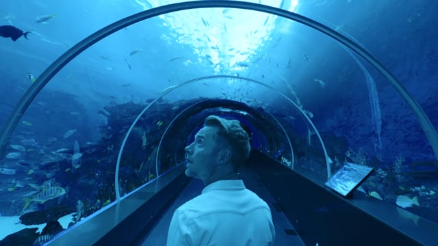 Universal Music & Resorts World TVC : Ronan Keating “Time of Your Life”