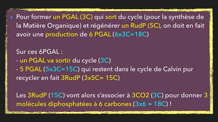 Animation de la photosynthèse du cycle Calvin