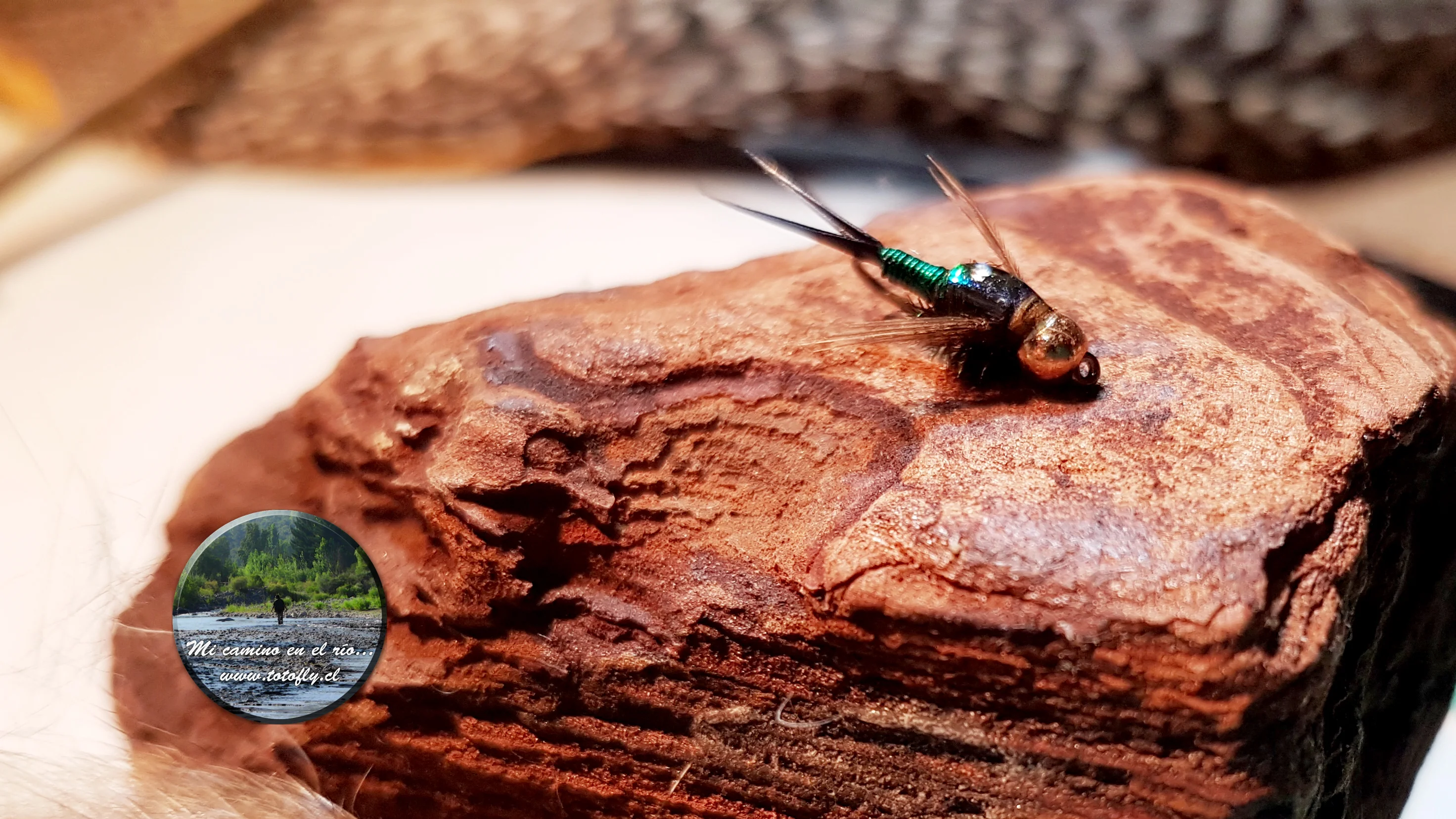 Green Copper John by Toto® on Vimeo