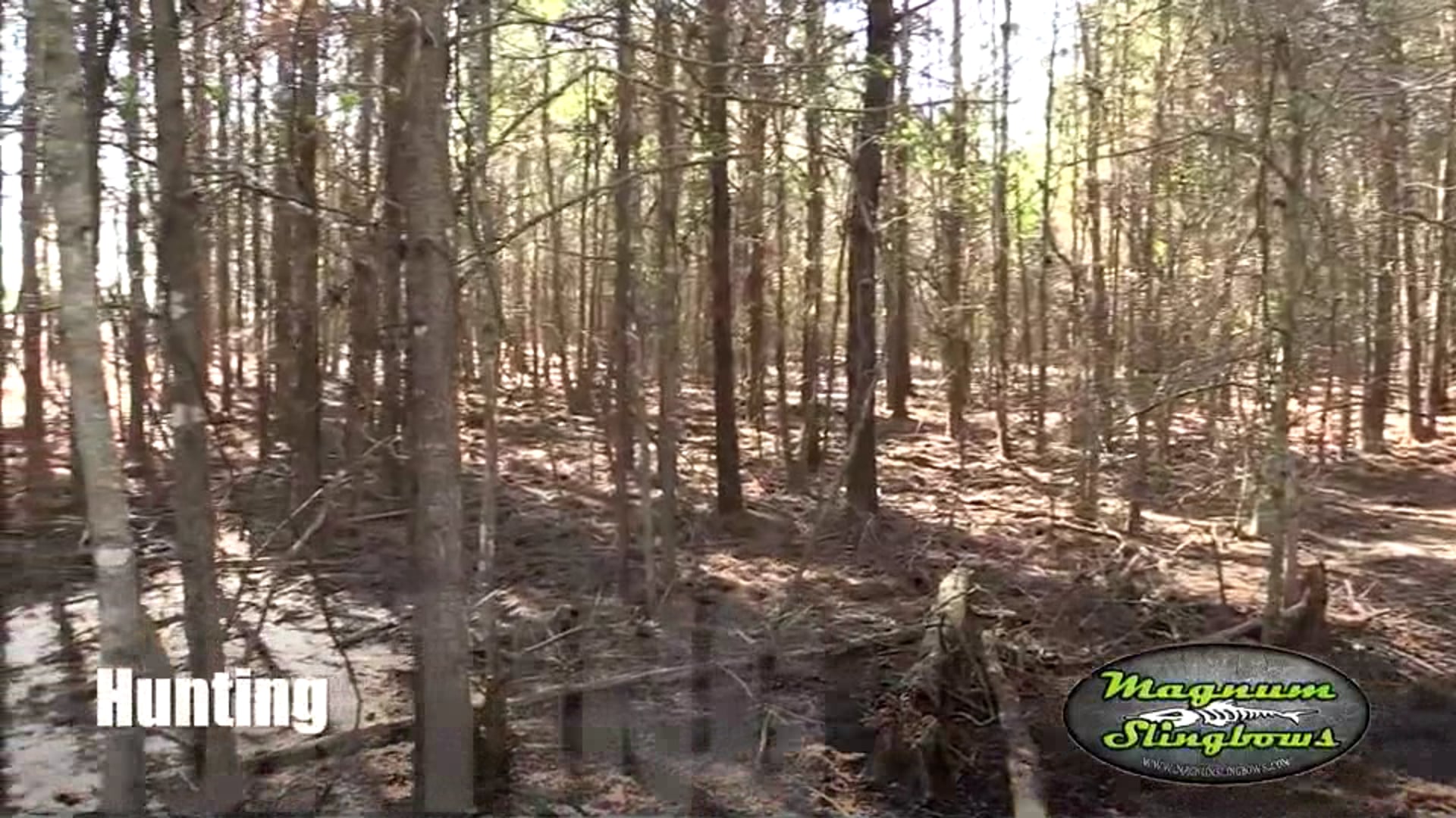 Magnum Slingbows Explainer