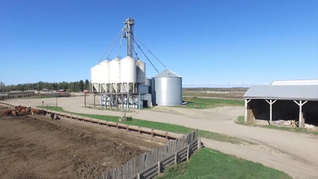 ACFA Feedlot Tour