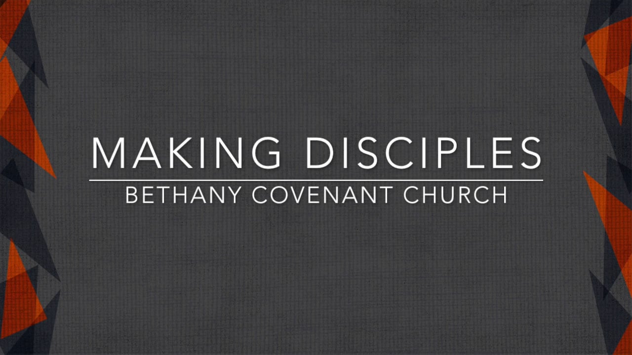 Stewardship 2016: Terra Burgoyne