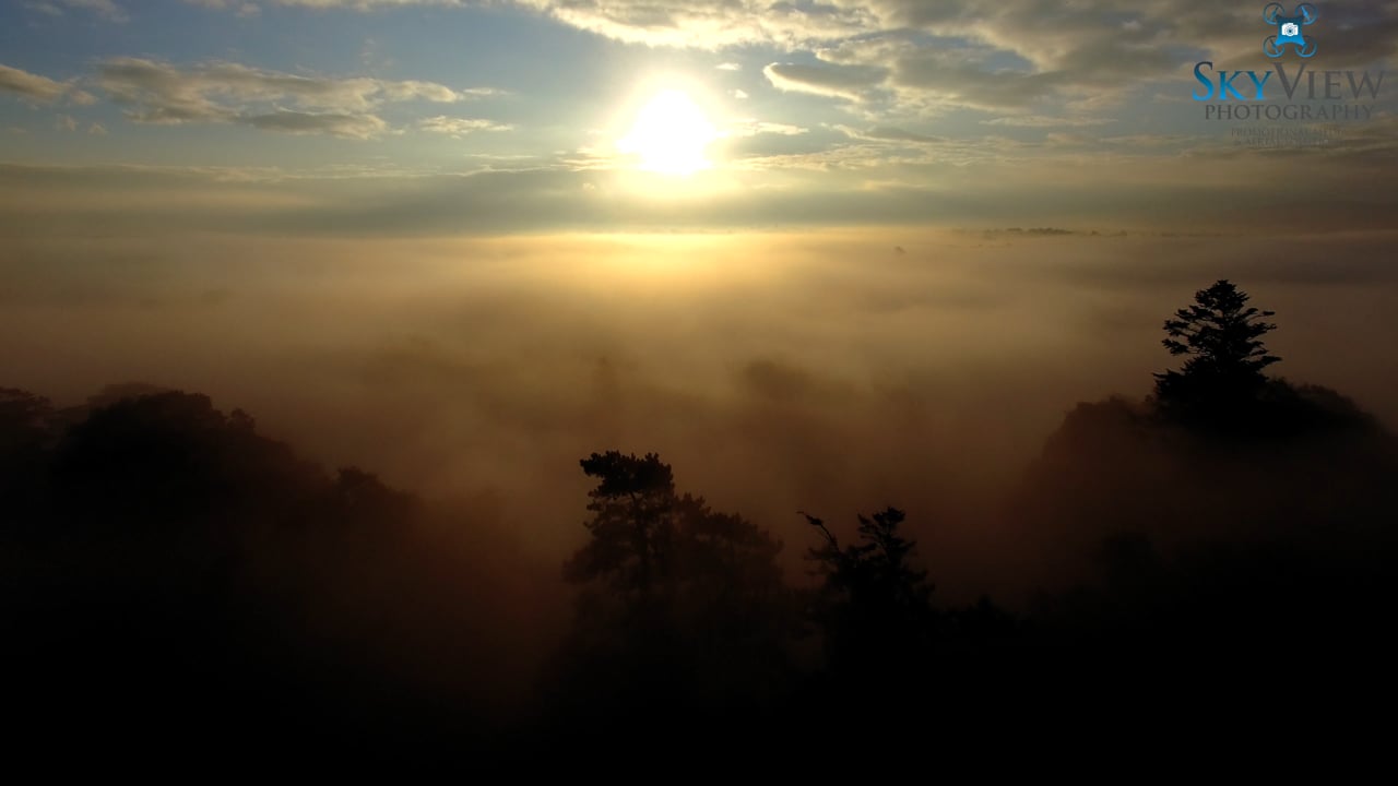 An Autumn Morning