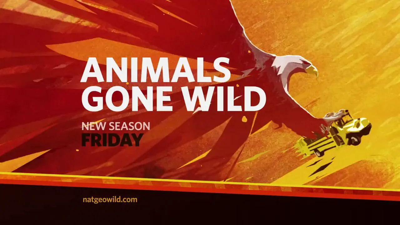 national geographic animals video
