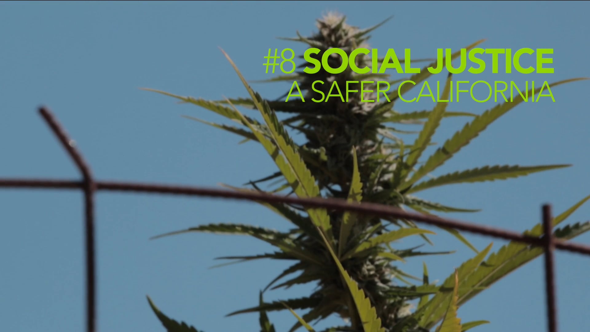 CCP #8 Social Justice - A Safer California