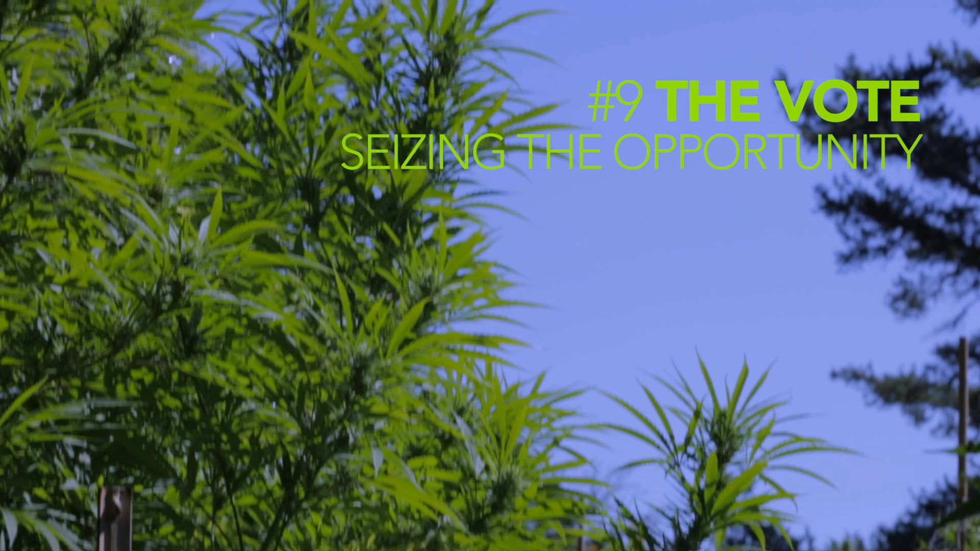 CCP #9 The Vote - Seizing The Opportunity