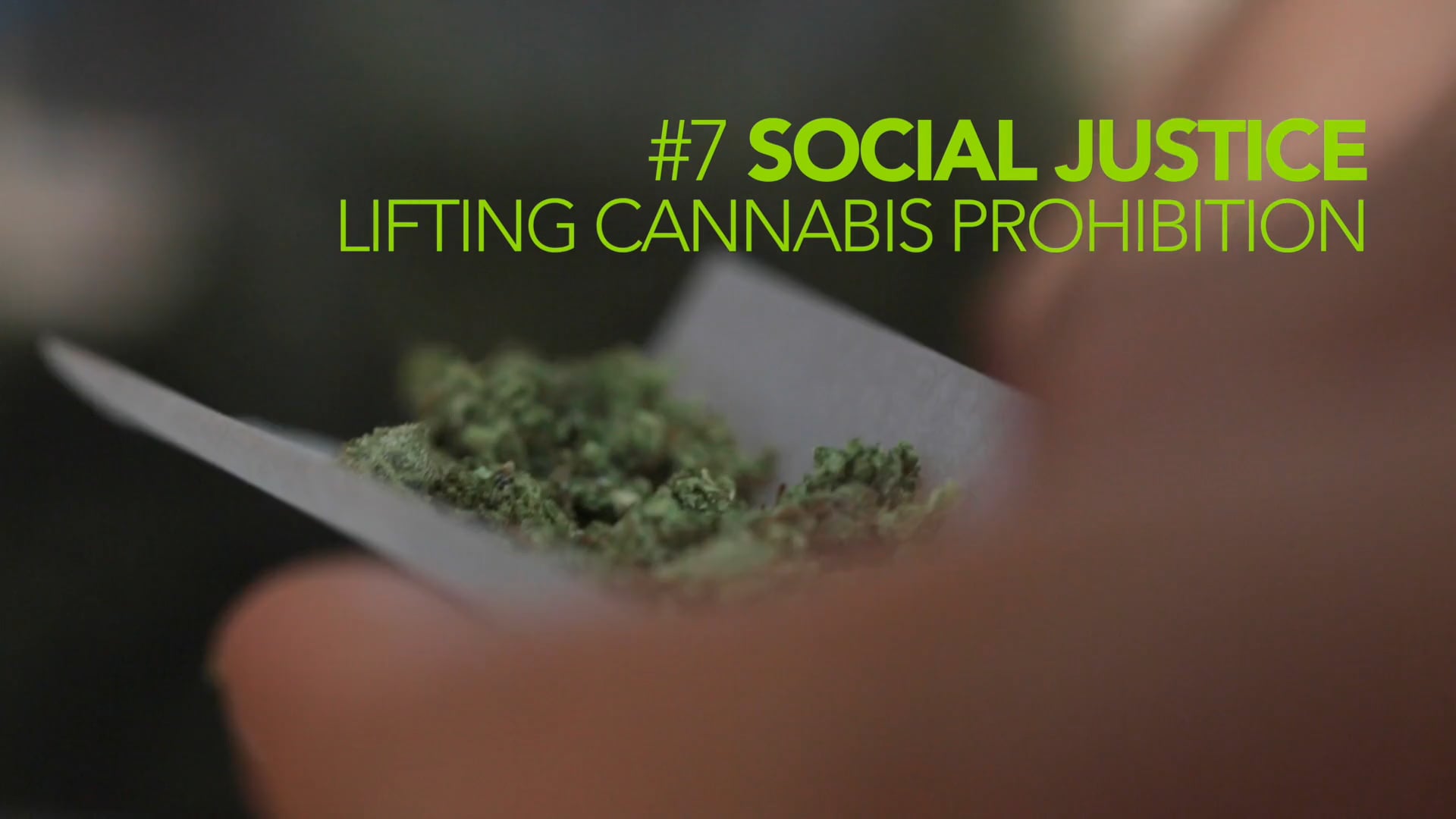 CCP #7 Social Justice - Lifting Cannabis Prohibition