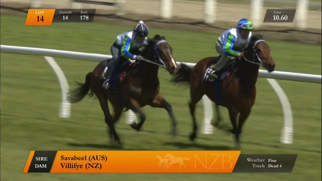 Lot 14