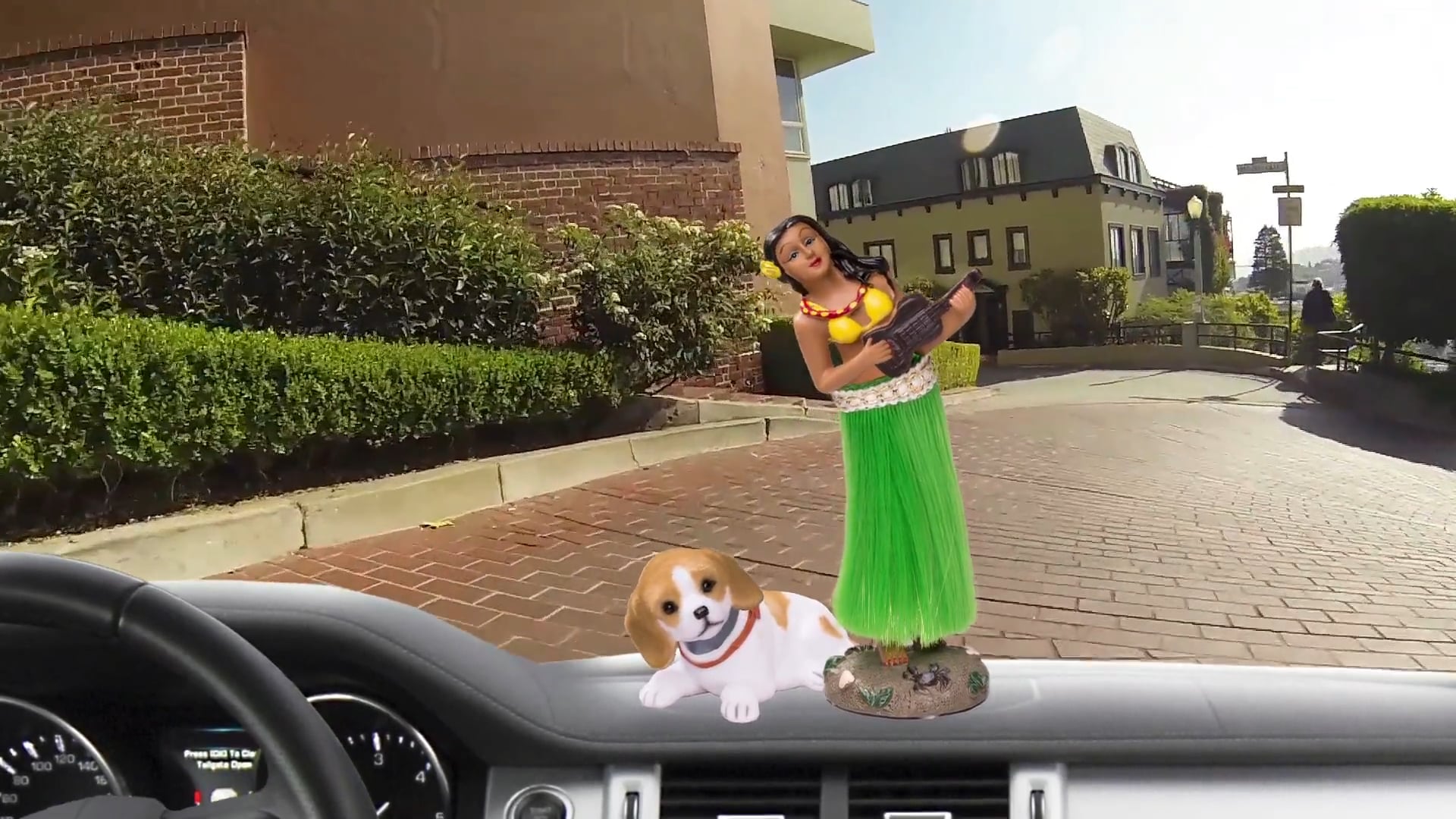 Leilani & Dash - SanFran