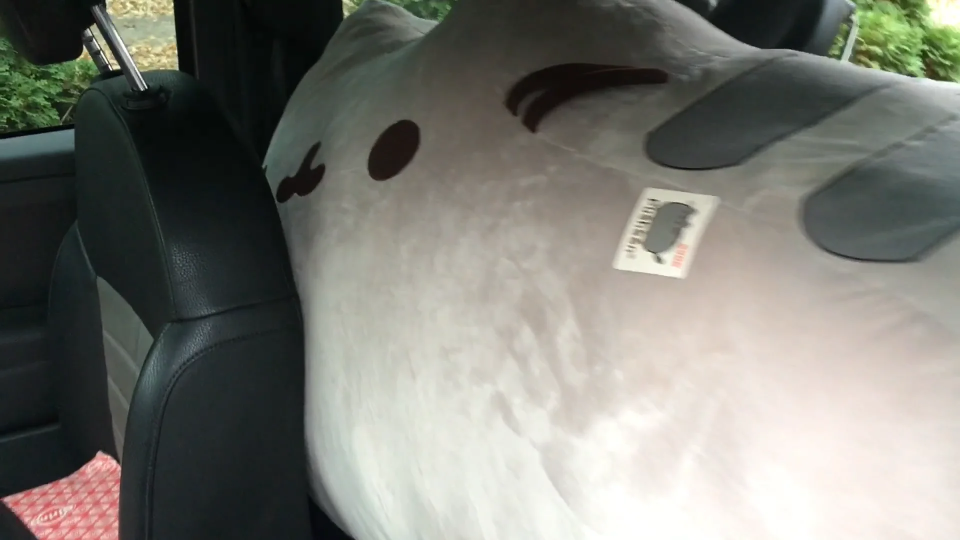 Super deals jumbo pusheen