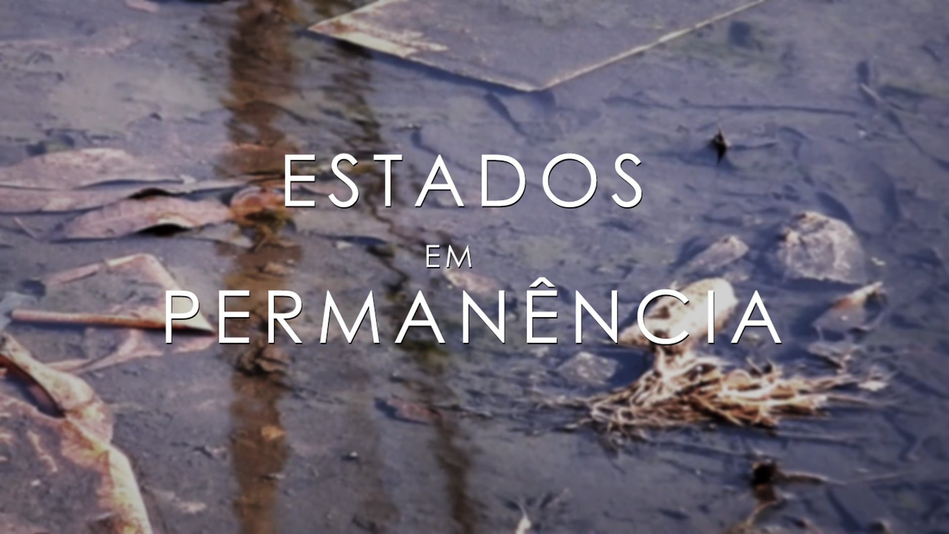 ESTADOS EM PERMANÊNCIA