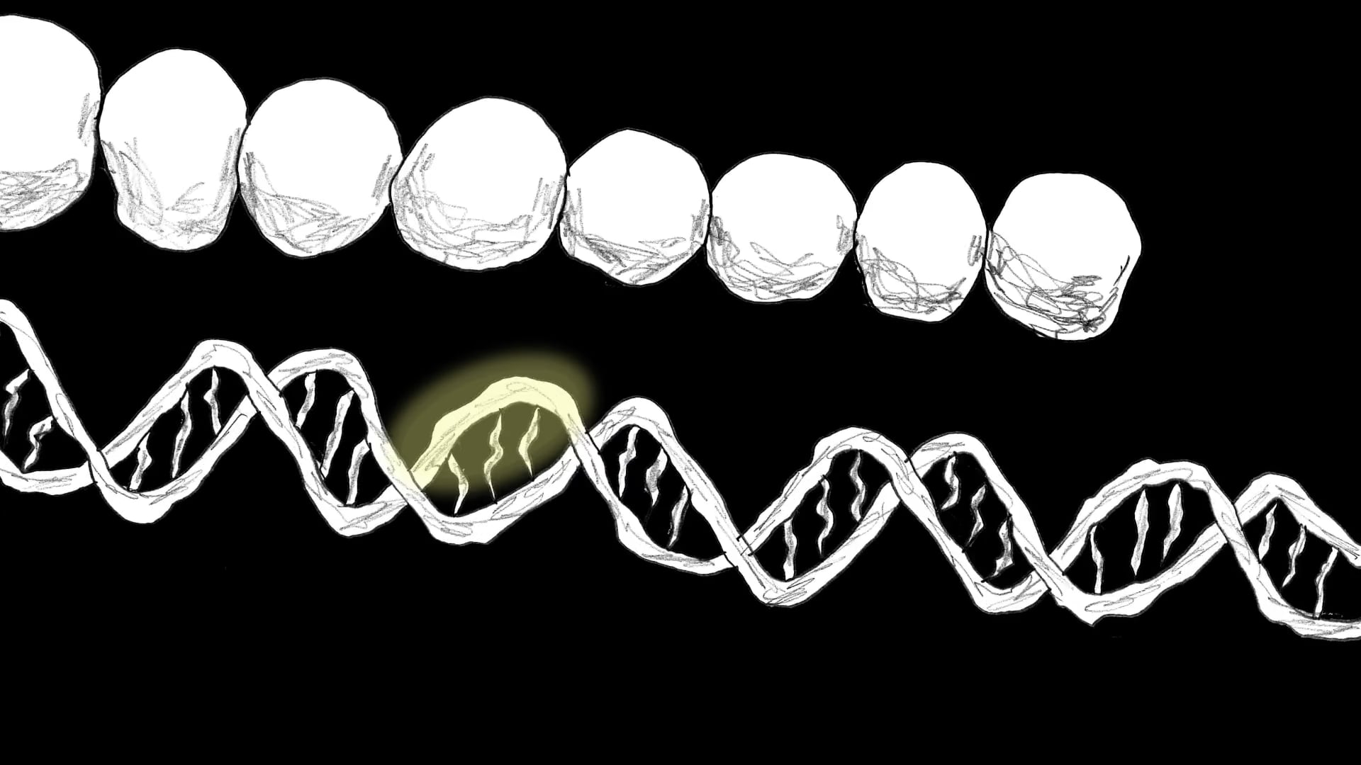 The World's Most Profoundly Altered Genome