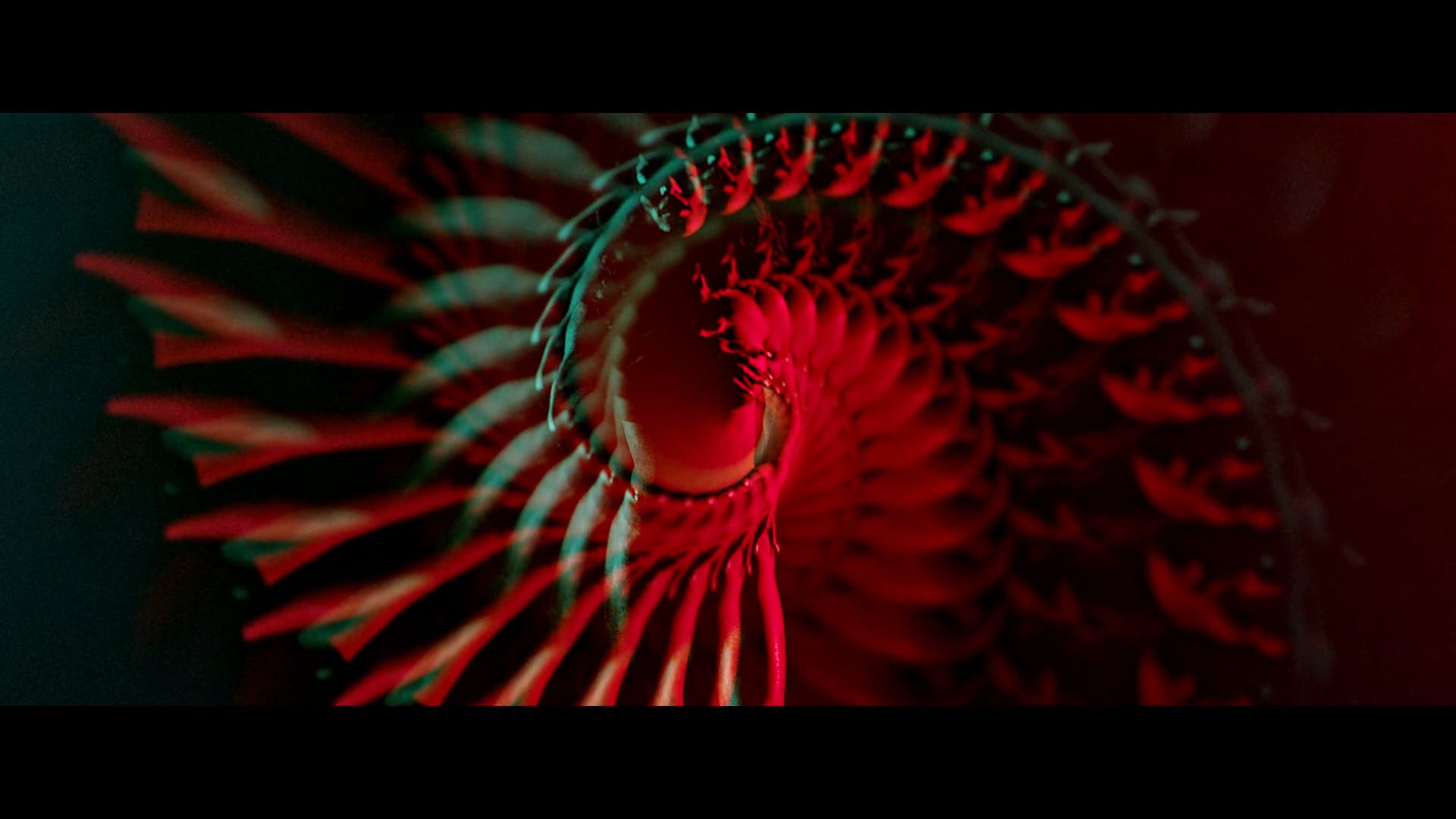 Run The Jewels "Oh My Darling (Don't Cry)"