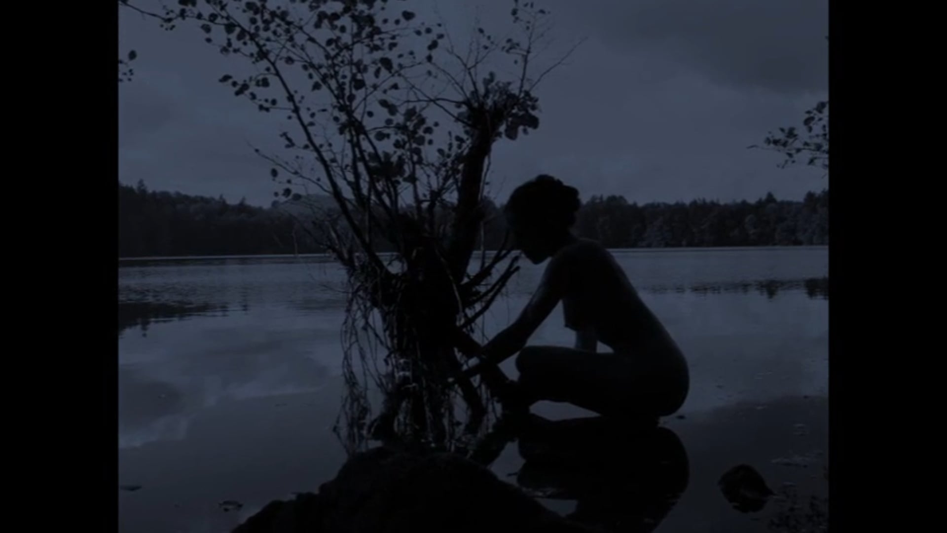 Io ILLY performance en Auvergne