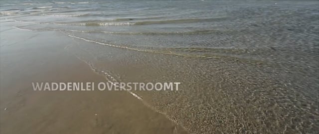 Waddenlei overstroomt
