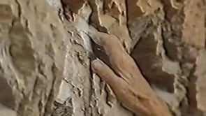 Alpinismo, Monta&ntilde;ismo y Escalada