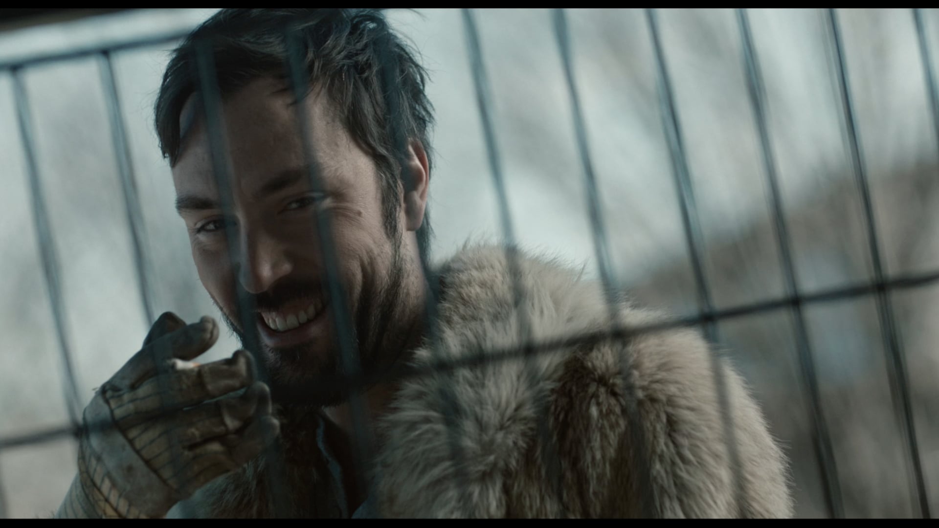 Le chien (2015)