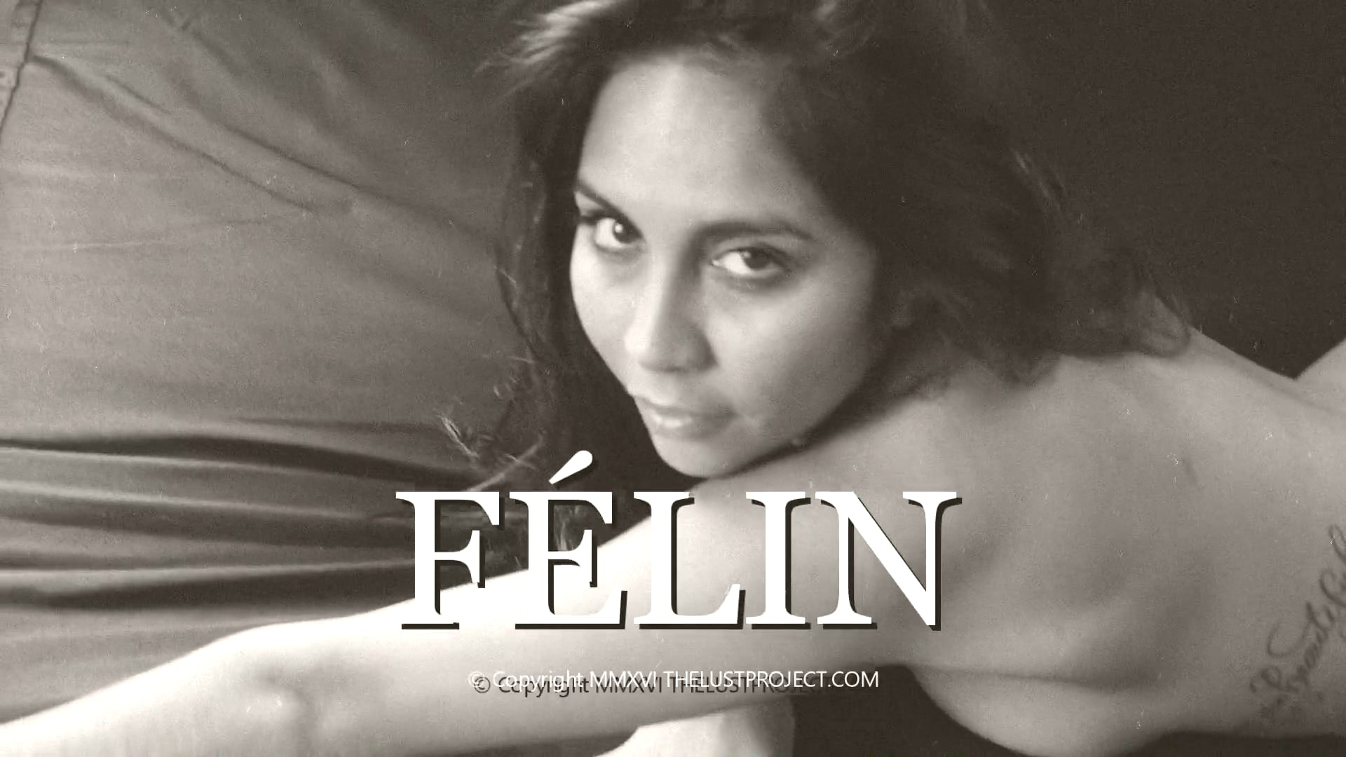 FÉLIN