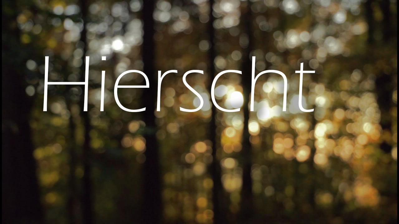 Hierscht 31.10.2016