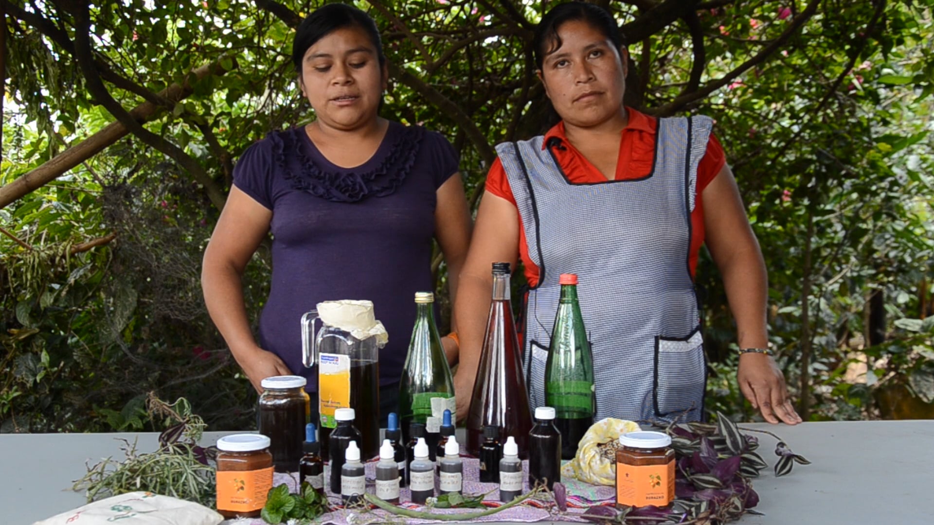 Salud Integral- Conecta-Tierra A.C.