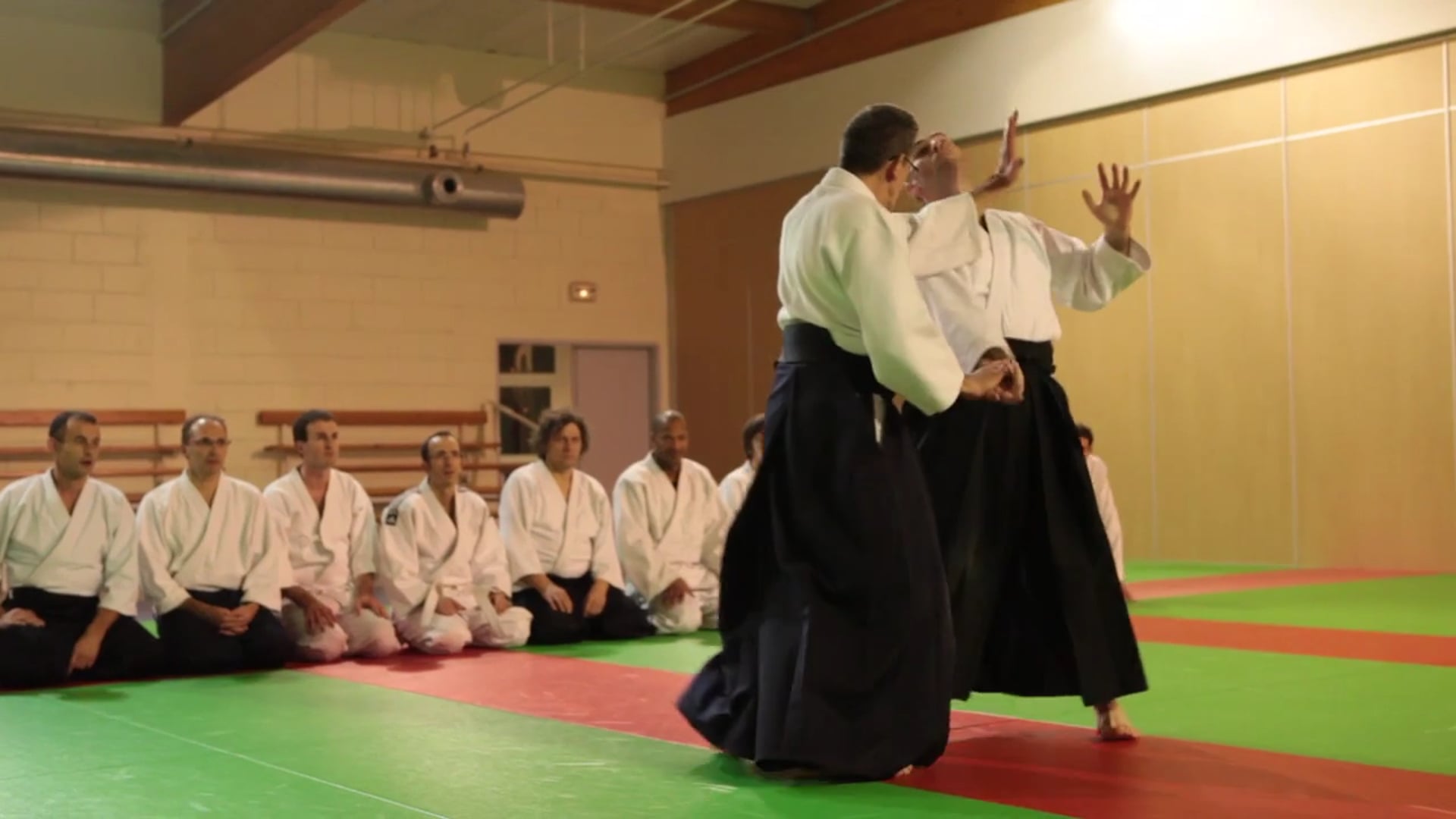 Aikido Club Fontaine-les-Dijon (2012)