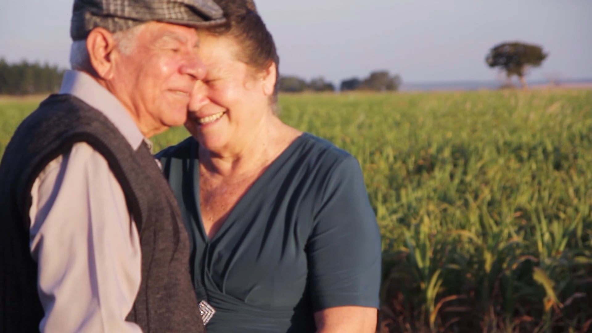 Bodas de Ouro ( 50 Anos )