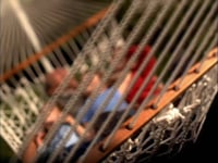 Berkeley: Rogisen - Dad