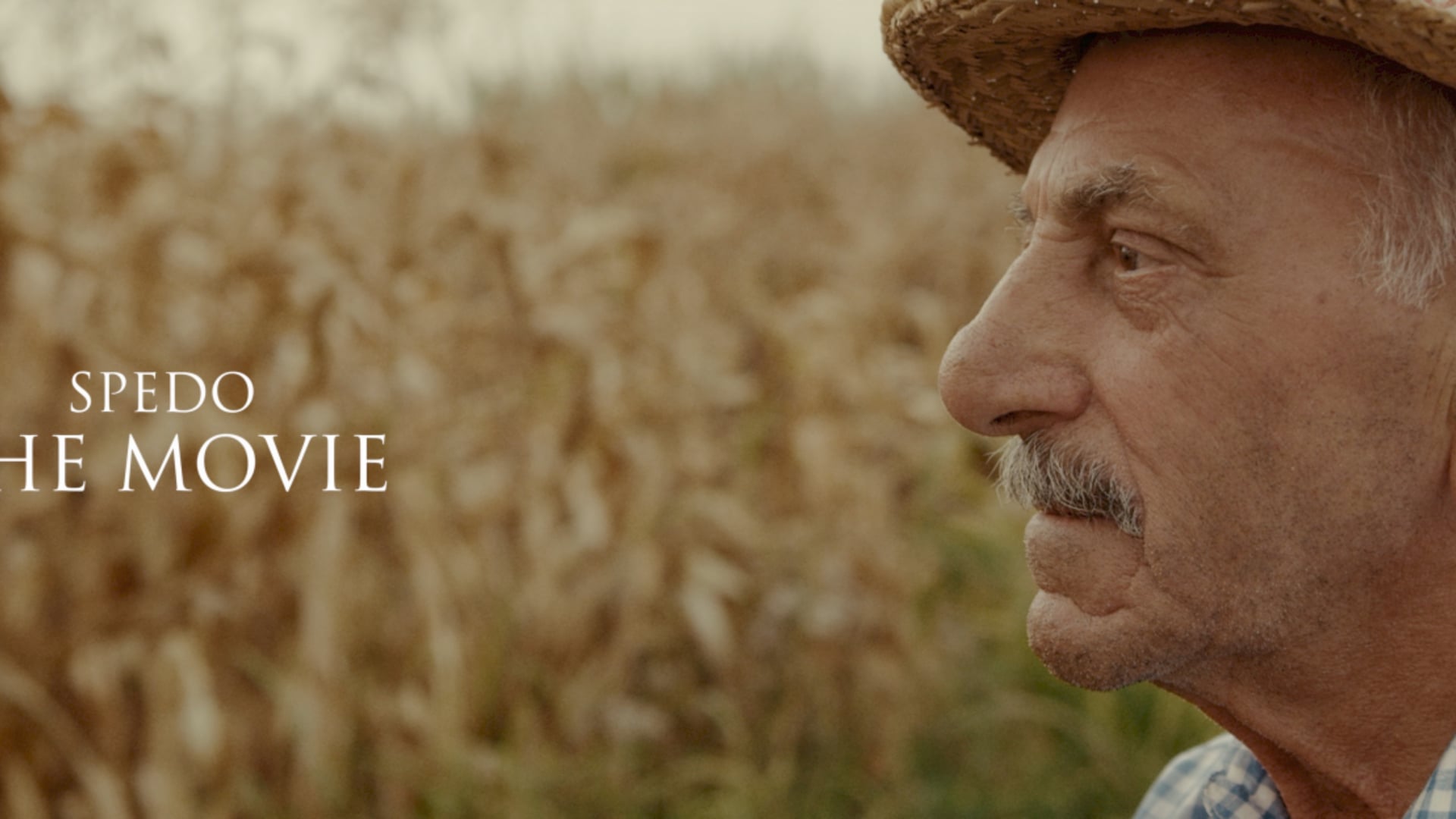 SPEDO - Agricolture Machines