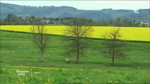 ECHAPPEES BELLES : CREUSE