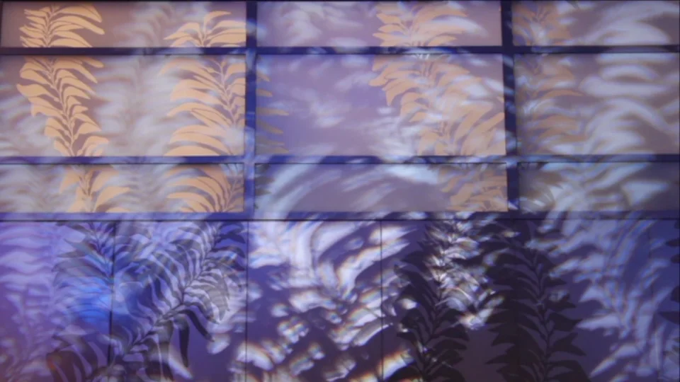 sublimare on Vimeo