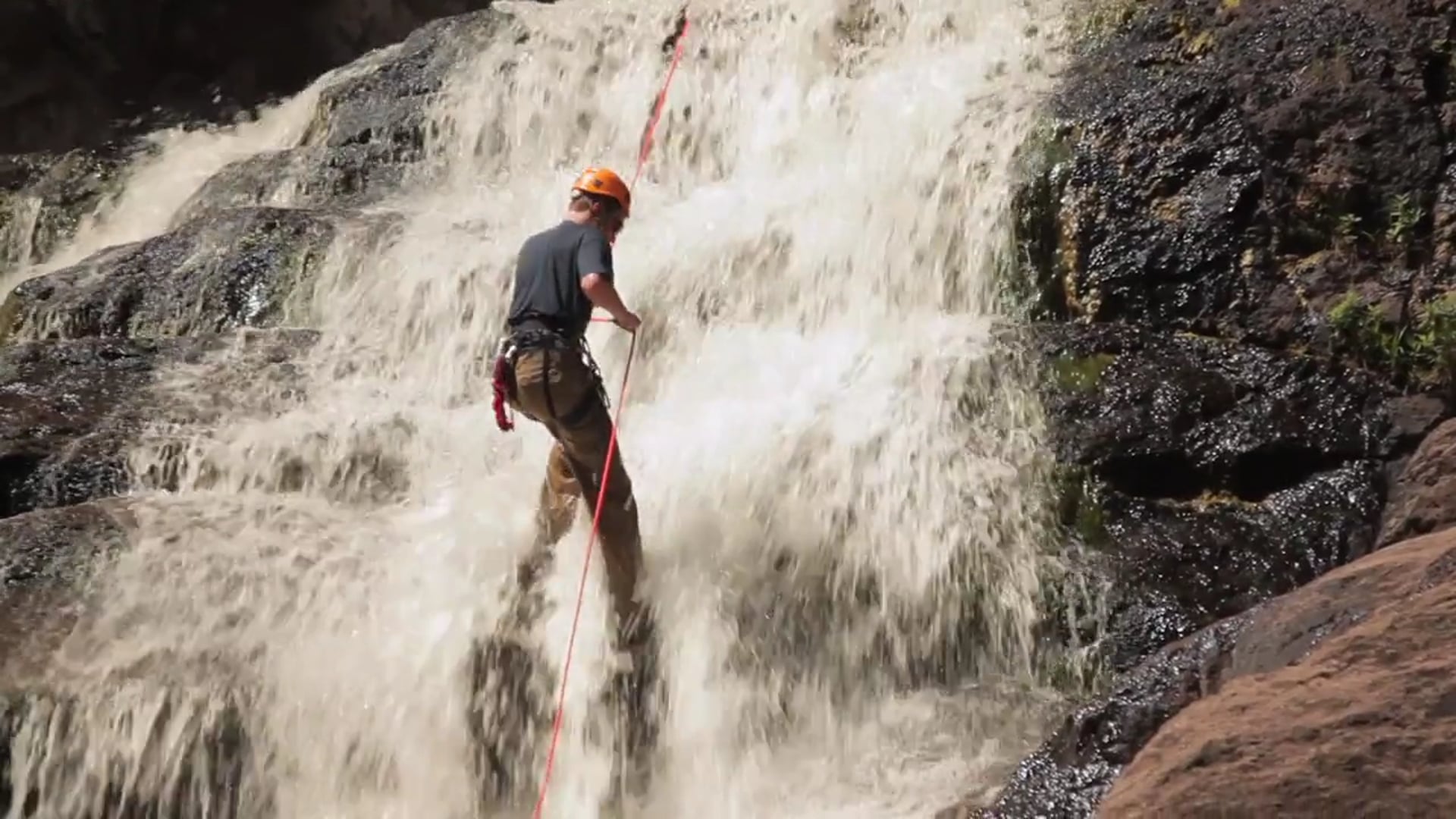 Original Among the Wild Video Teaser