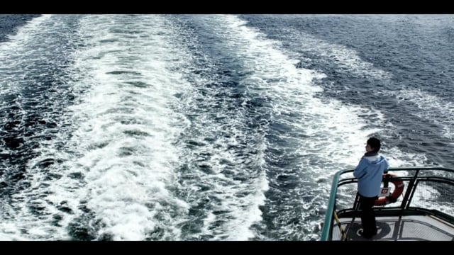 Open video