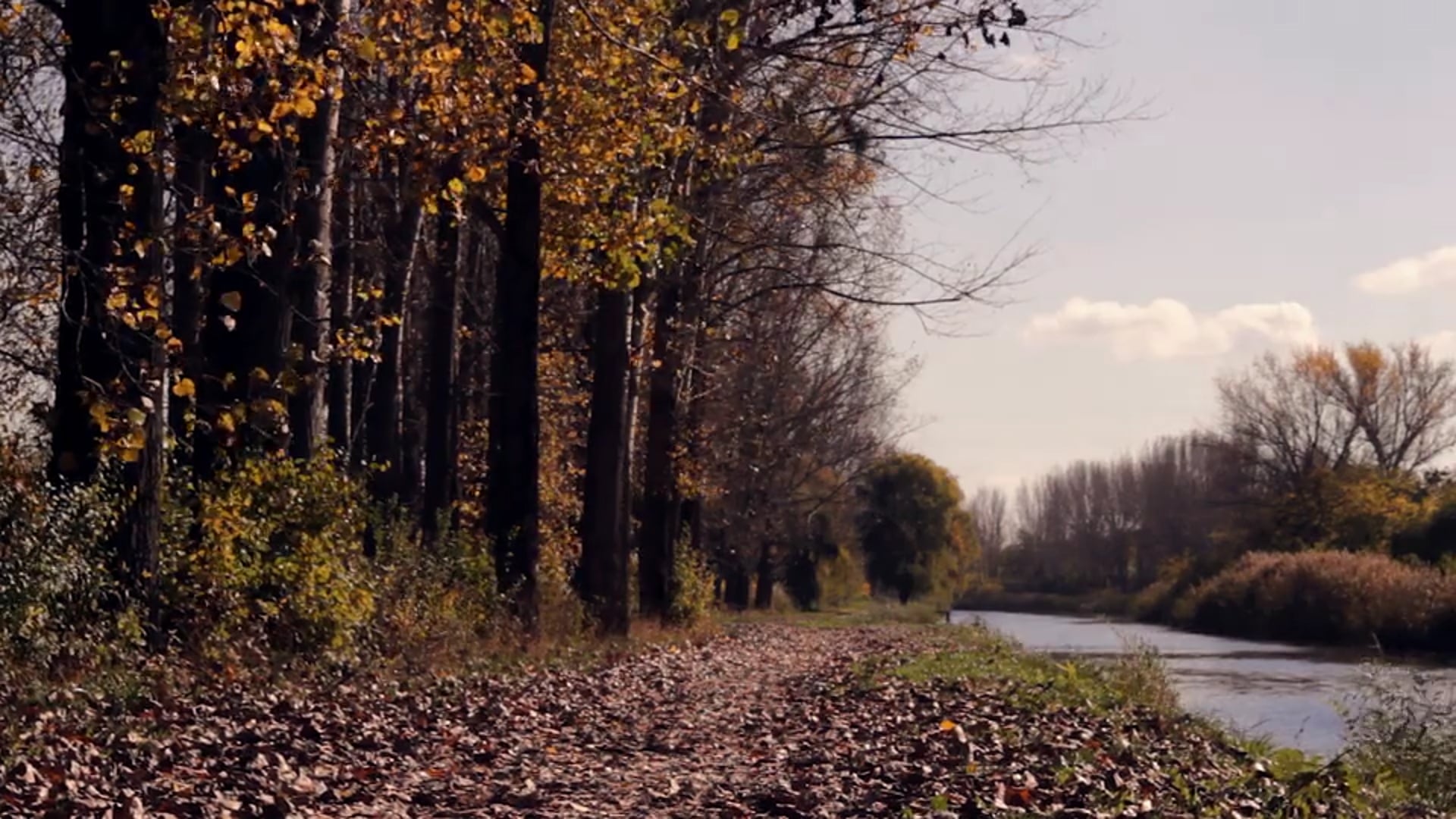 Autumn Memories | Short Film (2016)