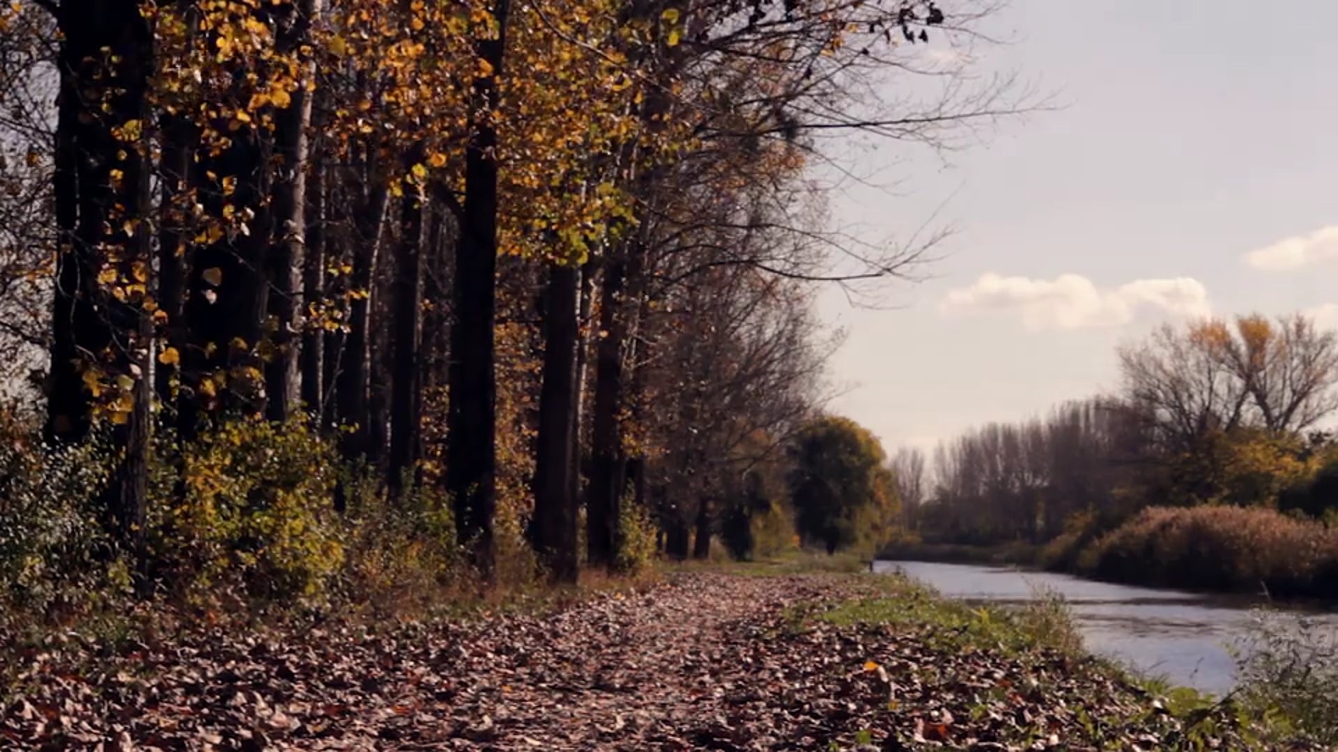 Autumn Memories | Short Film (2016)