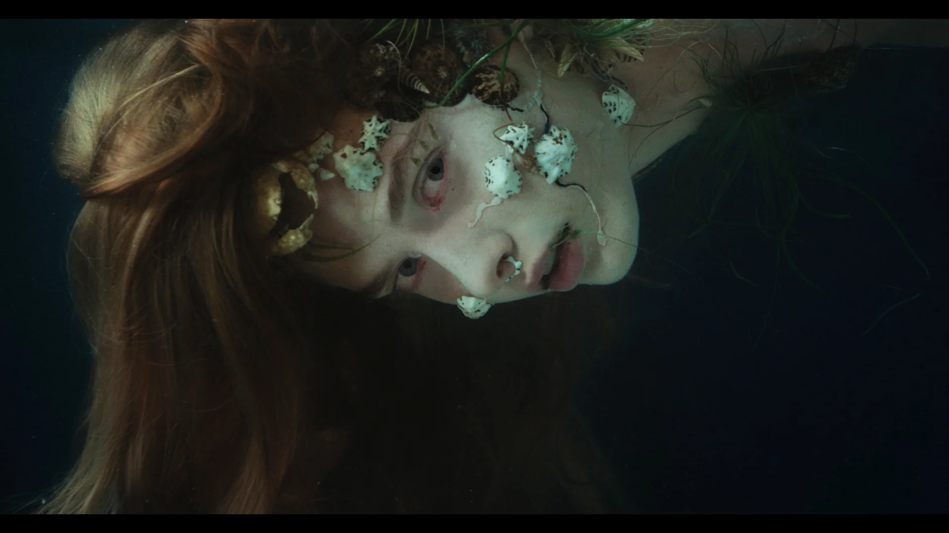 ARTIST: MARTA BEVACQUA — A BOOK OF MAGAZINE