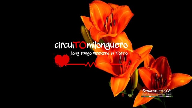 SynaestheticaVj - CircuiTo2016
