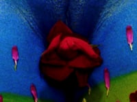 Igor Pose – Eden (1998)