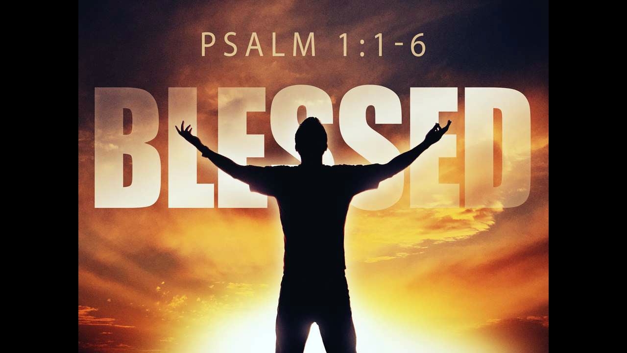 Blessed (Steve Higginbotham)
