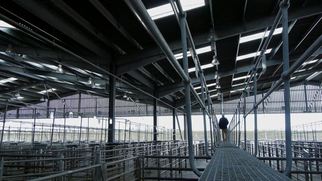Chewing The Cud on Vimeo