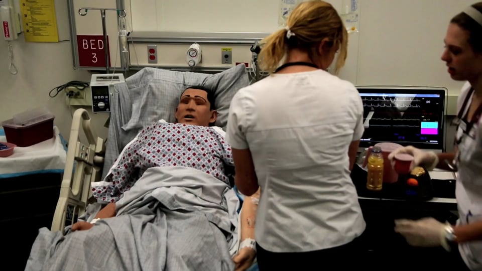 Purdue University NW College of Nursing